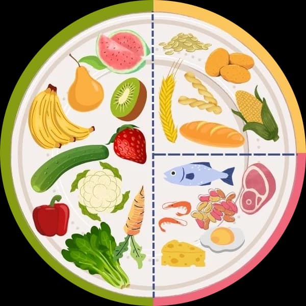 Plato saludable con frutas, verduras, cereales y proteínas